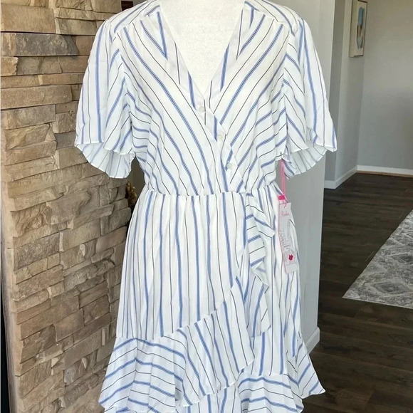 NWT Parker Short Sleeve V-Neck Flutter Sleeve Mini Dress Size S Revolve - Picture 1 of 10